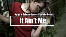 Kygo  Selena Gomez - It Aint Me (Codeko Remix)