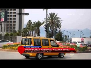 Musim Semi, Turki Berhiaskan Tulip - NET5