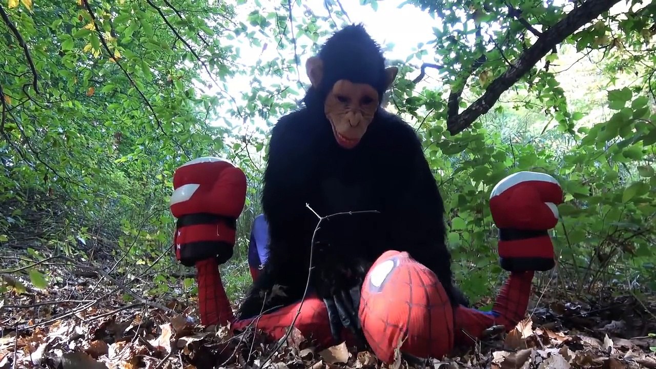 Flash Finger Family Songs. Superheroes Nursery Rhymes. SuperHero Emi TV wit Elsa and Spide