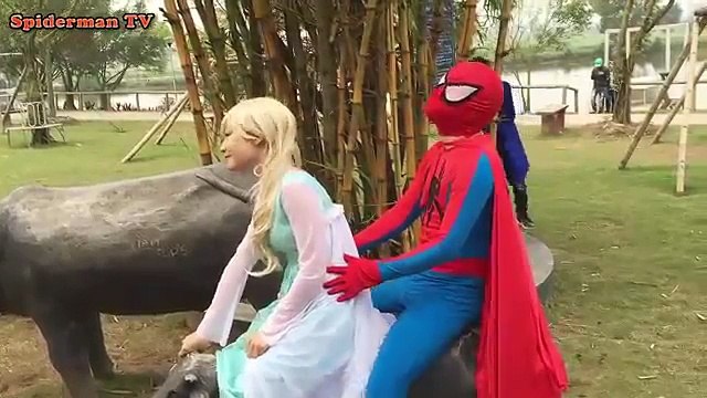 Замороженные Эльза рок-группа SpIDer Girl w/ SpIDer Babe Twins как заработать Spiderman Finding Dory Джокер Фабьен