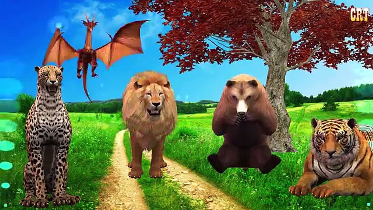 Crazy Gorilla Finger family | Nursery Rhymes for Children | Finger Family Songs