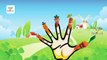 Carrot Cartoon Animation Finger Family Nursery Rhyme | Daddy Finger Carrot Songs For Children