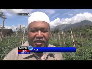 Download Video: Hasil Panen Melimpah Di Garut, Petani Untung Dampak Kenaikan Harga - NET12