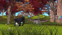 Dinosaurios VS King Kong Lucha Gorila Sorpresa Huevos de Dinosaurios Para los Niños Dinosaurios dibujos animados Fo