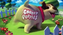 Spin Master - Chubby Puppies - Ultimate Dog - Park Game / Park Rozrywki - TV Toys