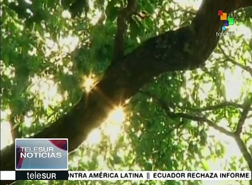 Fallece expresidente de Haití, René Préval, de ataque cardíaco