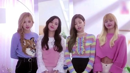 BLACKPINK's Warm Greeting 🌟