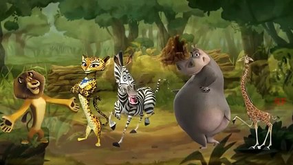 Madagascar | The Place Of Animals Occasion | Finger Family Rhymes Of Madagaskar For Kids |