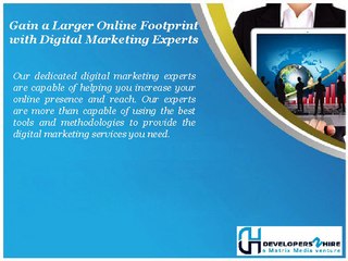 Hire Digital Marketing Experts to Popularize Your Business