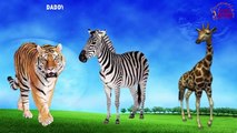 Animal Finger Family Rhymes | Elephant Lion Tiger Zebra Nursery Rhymes For Children and Babies