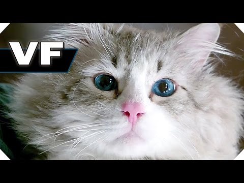 MA VIE DE CHAT - NOUVELLE Bande Annonce VF (Avec Kevin Spacey... en chat ! - Comédie, 2016)