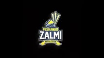 Nargis Fakhri Supporting Peshawar Zalmi