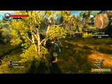 Gaming Live - The Witcher 3 : Wild Hunt - Les graphismes d'un monde ouvert 3/4