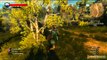 Gaming Live - The Witcher 3 : Wild Hunt - Les graphismes d'un monde ouvert 3/4