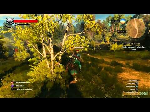 Gaming Live - The Witcher 3 : Wild Hunt - Les graphismes d'un monde ouvert 3/4