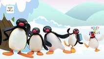 Finger Family Pingu Cartoon Animation Children Nursery Rhymes HD | Pingu Finger Family Songs HD