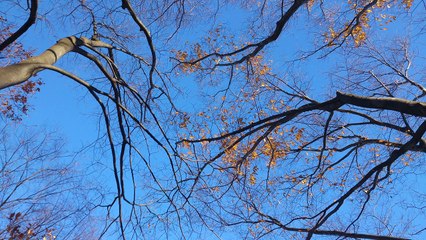 【人生相談】　稼げぬ男はゴミ同然に・・・