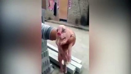 Un fermier entre dans sa grange et tombe sur une créature horrible. Il finit par avoir la peur de sa vie...