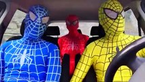 Человек-паук танцует в машине W/ синий Человек-паук и Человек-паук в реальной жизни удовольствие супергероев М