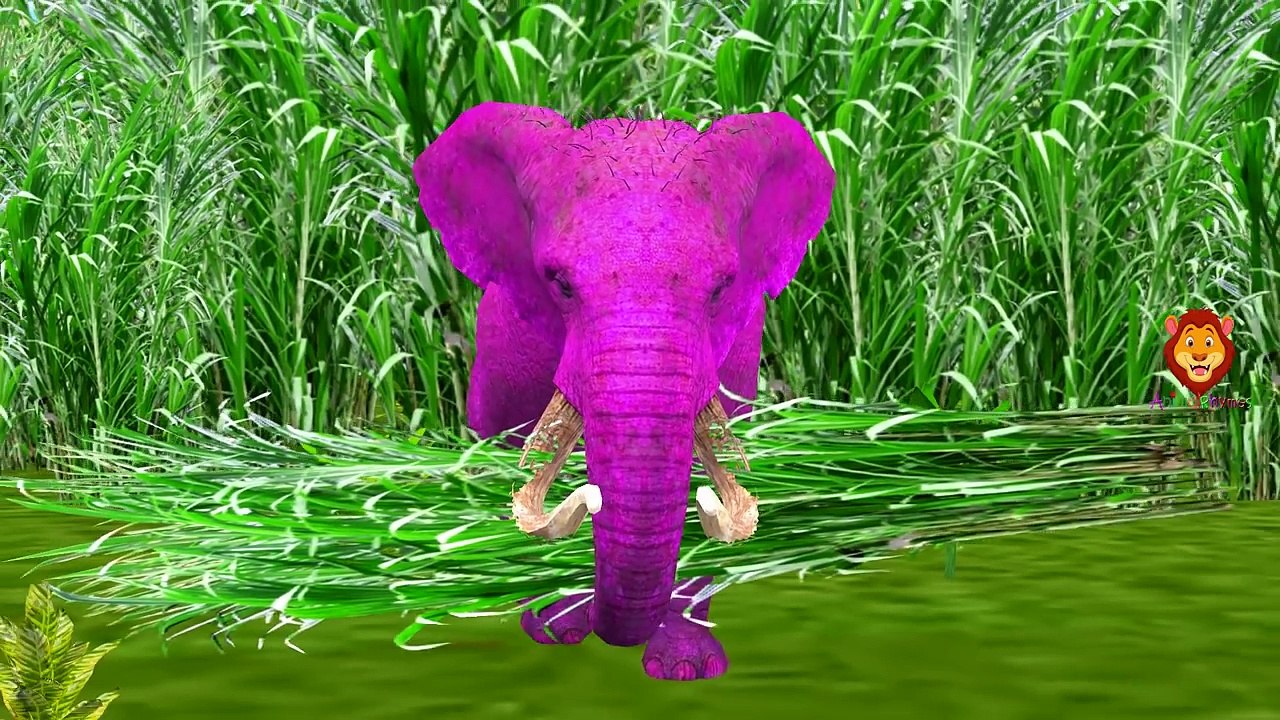 Dinosaurs Finger Family | Lion, Gorilla, Elephant & More Animals Mega Finger Family Collec