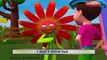 3D Rimas Colección | 30 canciones infantiles de la Colección | Flor de Rimas de Compilación | Rimas L