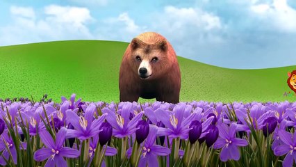 Finger Family Bear | Animals Cartoon Finger Family Rhymes Plus More Nursery Rhymes