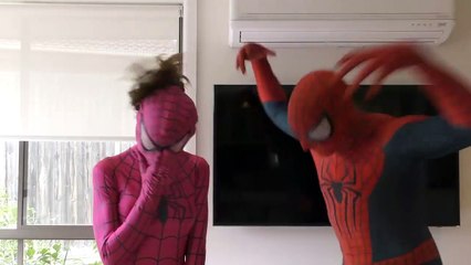 Amazing Spidergirl Has A New Pet! Skeleton Spiderman Car Superhero Kids