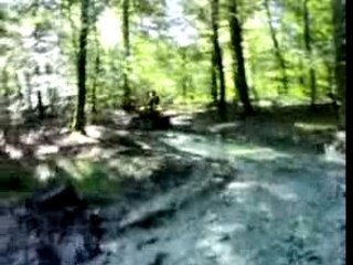 quad hi bird 250 et suzuki ltz 400