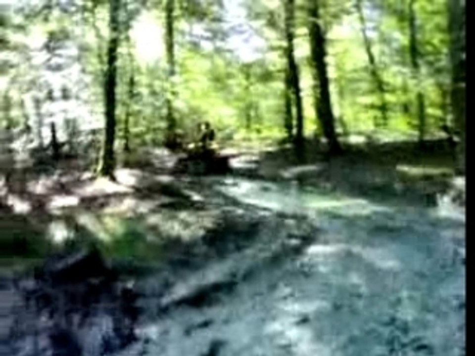 quad hi bird 250 et suzuki ltz 400