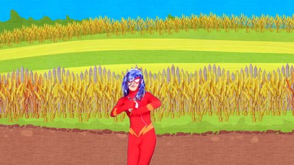 Wonder Woman and Elza finger family song - Superheroes Nursery Rhymes: Spiderman Hulk fami