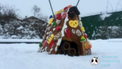 Exploding Slow-Motion Gingerbread House Fireworks Firecracker