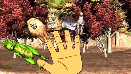 Hulk Fight Compilation | Hulk Vs Gummy Gorilla | Hulk Elsa Vs Venom | Spiderman Vs Hulk Ba