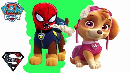 Zombie, Paw Patrol, Super Heroes, Spiderman, Elsa Frozen Transforming Funny Videos