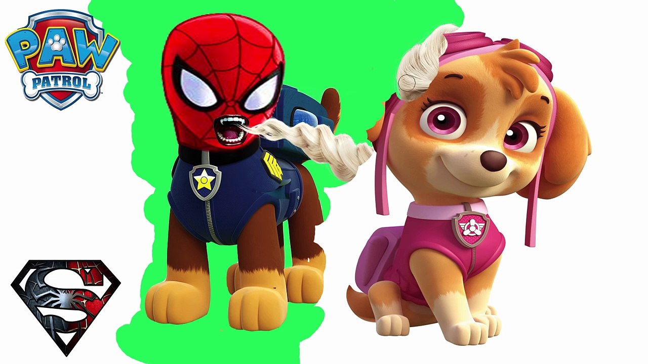 Zombie, Paw Patrol, Super Heroes, Spiderman, Elsa Frozen Transforming Funny Videos
