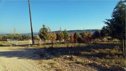 Didim Balat Mah. 306 m2 İmarlı Satılık Arsa