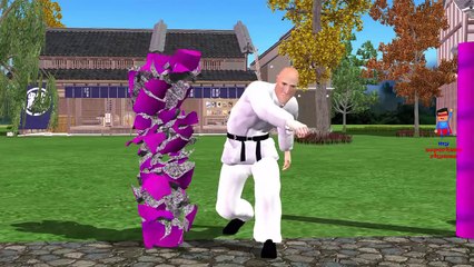 Finger Family Children Nursery Rhymes Karate Kid Cartoon | Finger Family Nursery Rhymes fo