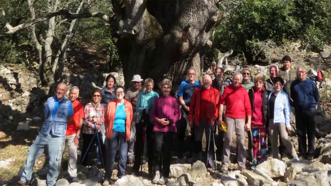 MC_Le Gros Chêne - Le Baou de La Gaude