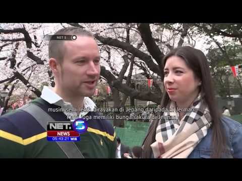 Musim Bunga Sakura Di Taman Ueno Jepang - NET5