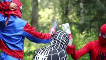 Red Spidergirl and Black Spiderman - Real life superhero funny romantic story - Bee sting