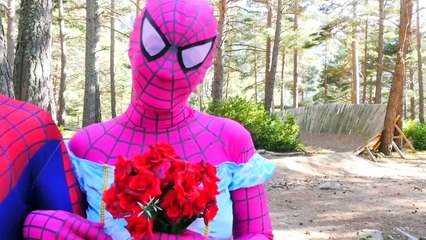 Spiderman vs Maleficent Werewolf Superman Power Rangers in Real Life ft Frozen Elsa Gorill