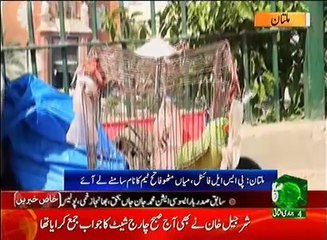 Regional News Bulletin 05pm 04 March 2017 - Such TV