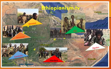 Eritrea trained rebel attacked  Renaissance dam &  six conflict corners of Ethiopia