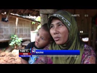 Peluang Bisnis Budidaya Srikaya di Paciran, Lamongan - NET12
