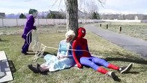 человек паук мультфильм на русском языке человек паук и эльза и розовые пауки и ребенок w