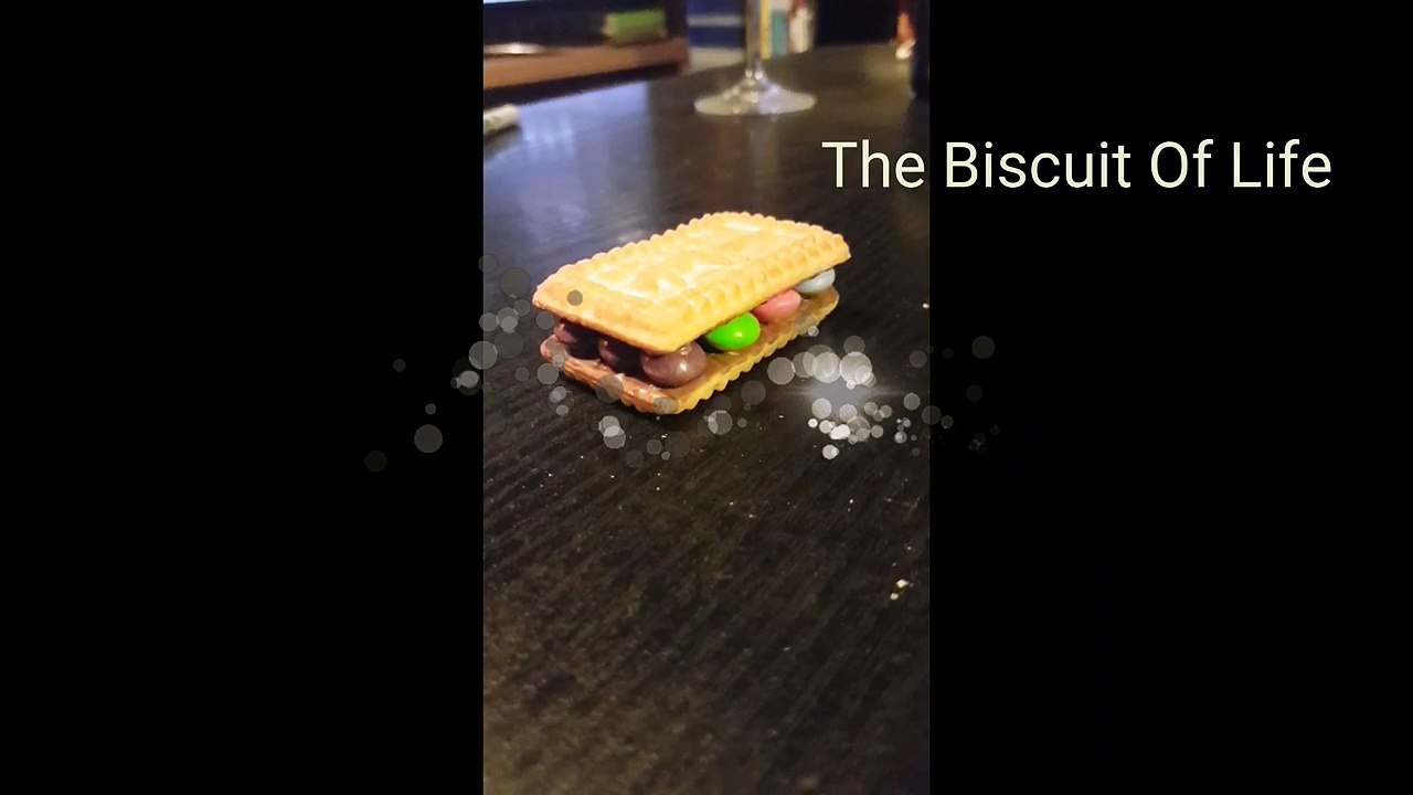 Biscuit of life