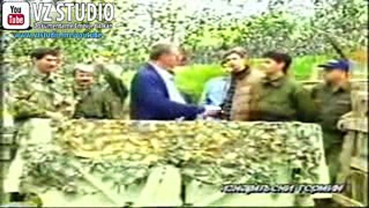 ALEXANDER VUCIc