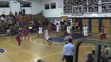 Des jumeaux ont la même réaction pendant un match de basket