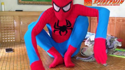 New frozen Elsa Spiderman vs Joker | Farting On Valentine | funny superhero in real life