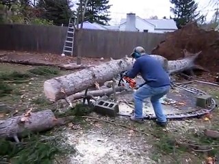 The man saw a piece of the tree trunk fell. What happens shortly after it is totally unexpected