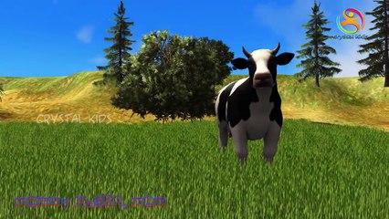 3d Animals Finger Family Nursery Rhymes | Learn About Animals